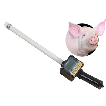Автоматический детектор свиней для искусственного осеменения свиней